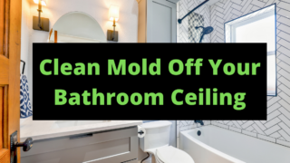 clean mold off your bathroom ceiling