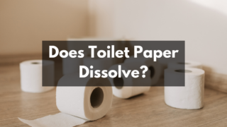 does toilet paper dissolve